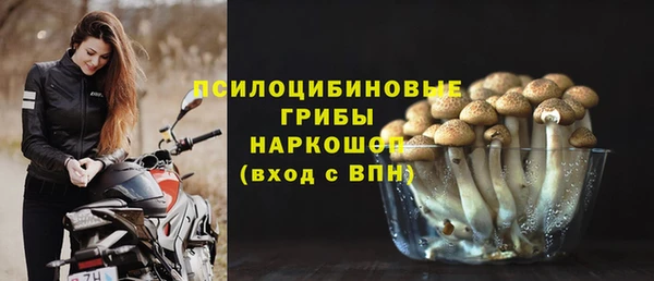 МДПВ Алзамай